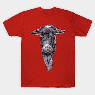 Goat T-Shirt